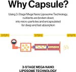 Serum cu capsule de ulei și trufă albă, d'Alba, 100ml - Imagine 6