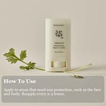 Stick matifiant protecție solară SPF 50+ cu extract de mugwort și camelia, Beauty of Joseon, 18g - Imagine 5