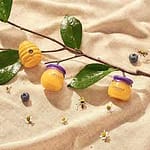 Balsam de buze hidratant cu afine și miere, FRUDIA, Blueberry Hydrating Honey Lip Balm, 10g - Imagine 6