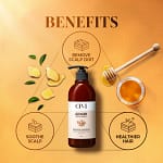 Șampon cu extract de ghimbir, Esthetic House CP-1 Ginger Purifying Shampoo, 500ml - Imagine 2