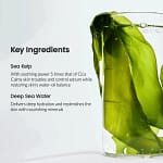 Mască intens hidratantă cu alge marine pentru revitalizare, BIODANCE, 34g - Imagine 6